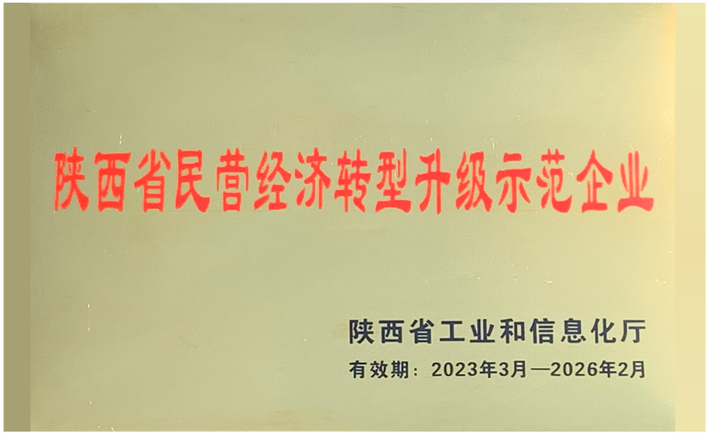 陜西省民營經濟轉型升級示范企業.png